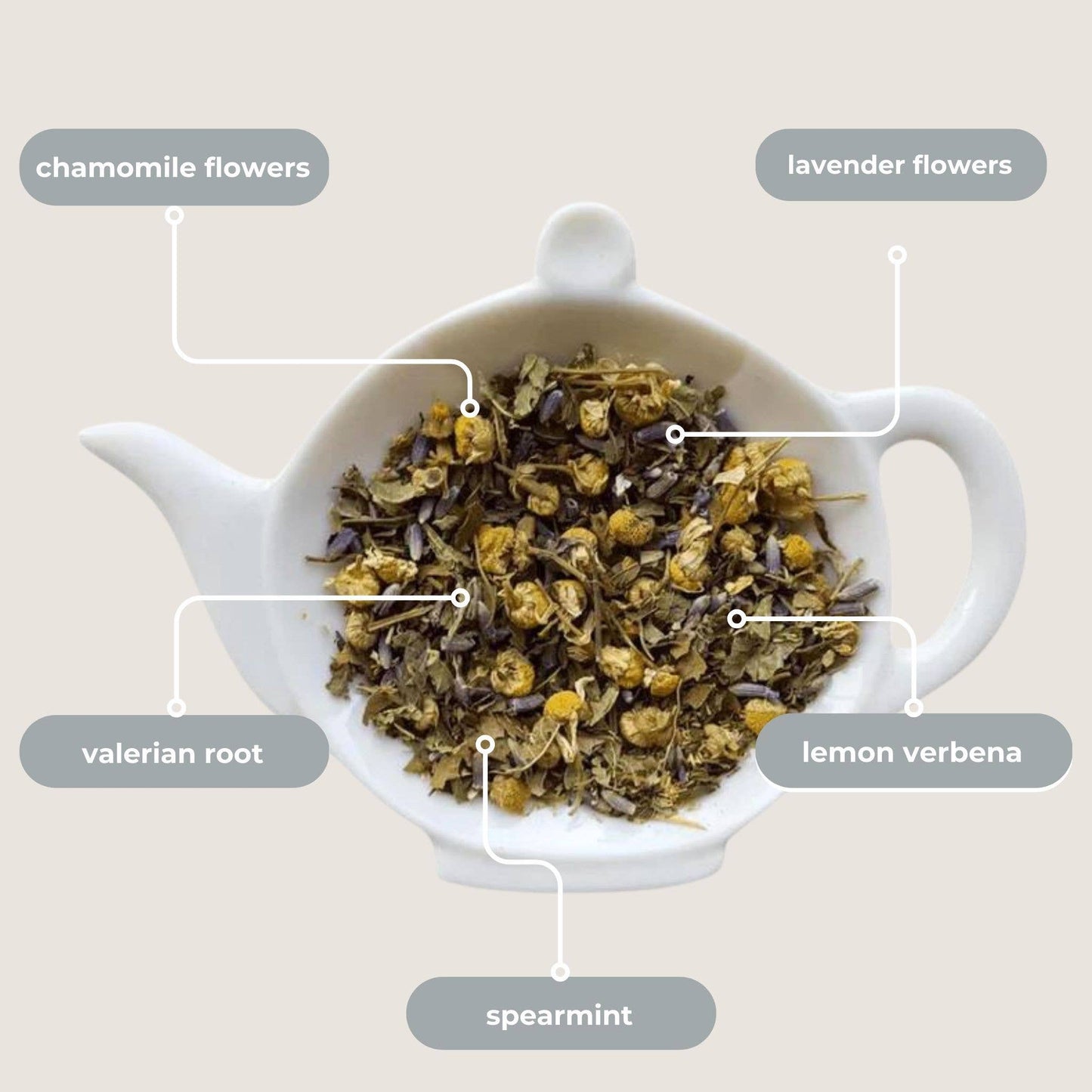 Herbal Tea - Mini Tea Tube - Nighttime Routine