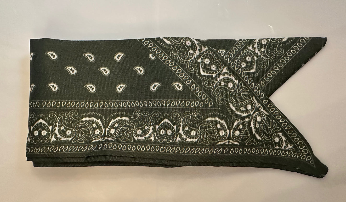 Printed Satin Purse & Tote Scarf