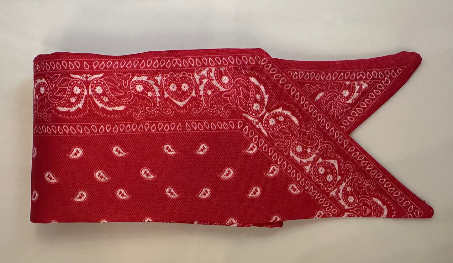 Printed Satin Purse & Tote Scarf