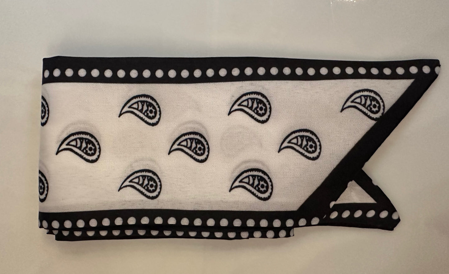 Printed Satin Purse & Tote Scarf