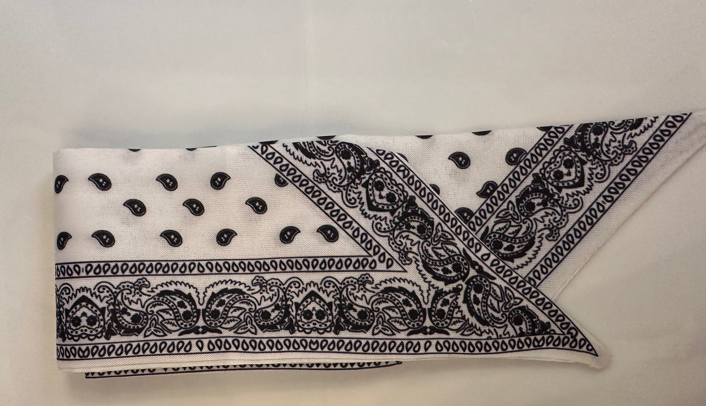 Printed Satin Purse & Tote Scarf