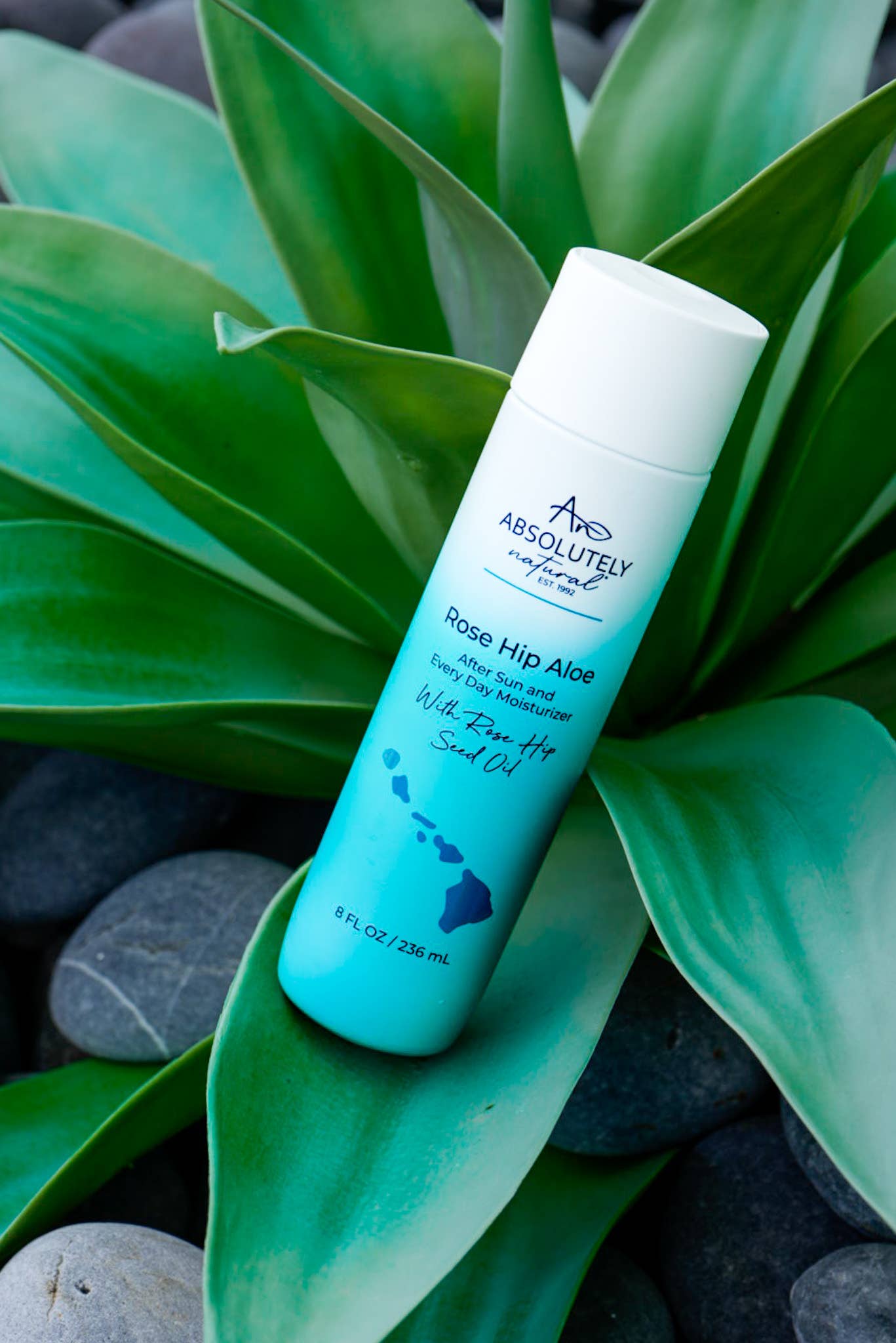 Rose Hip Aloe Lotion - 8 oz