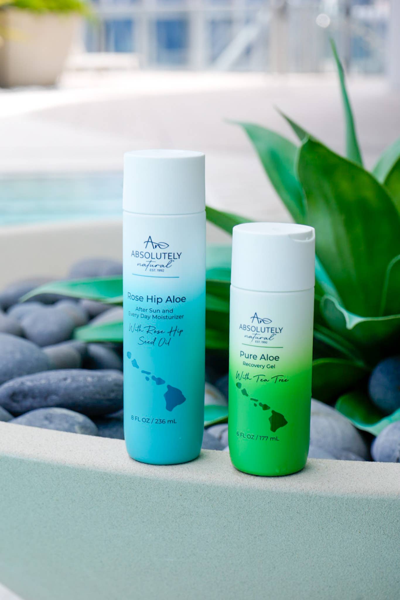 Rose Hip Aloe Lotion - 8 oz